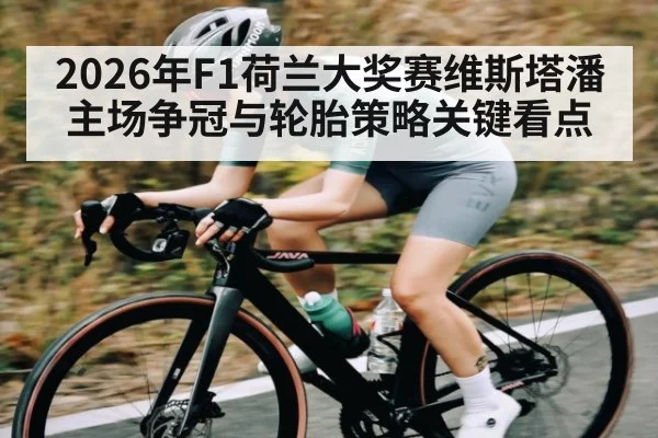 2026年F1荷兰大奖赛维斯塔潘主场争冠与轮胎策略关键看点